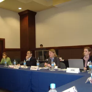 GMI Steering Committee meeting, 2009.