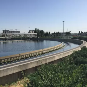Wastewater lagoon in a Chinese wastewater treatment facility.