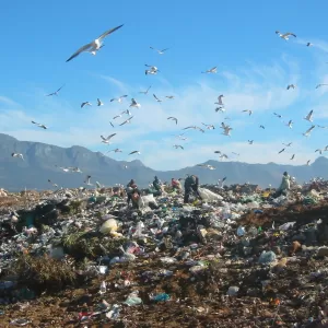 Site visit to Coastal Park landfill.