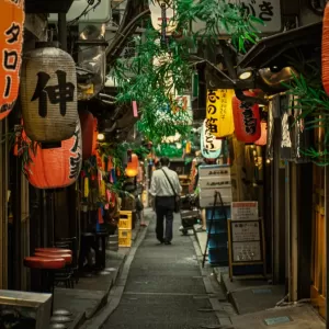 Framework case study for Japan