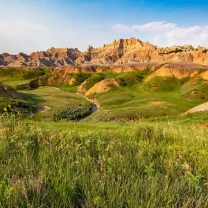 Framework case study for US