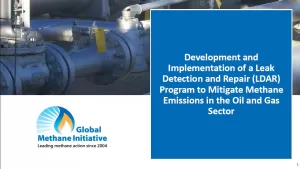 thumbnail for LDAR resource