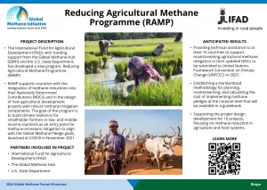 Thumb for Reducing Agricultural Methane Programme (RAMP)