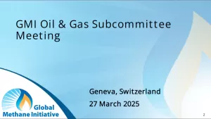 Thumb for Oil & Gas Subcommittee meeting March 2025